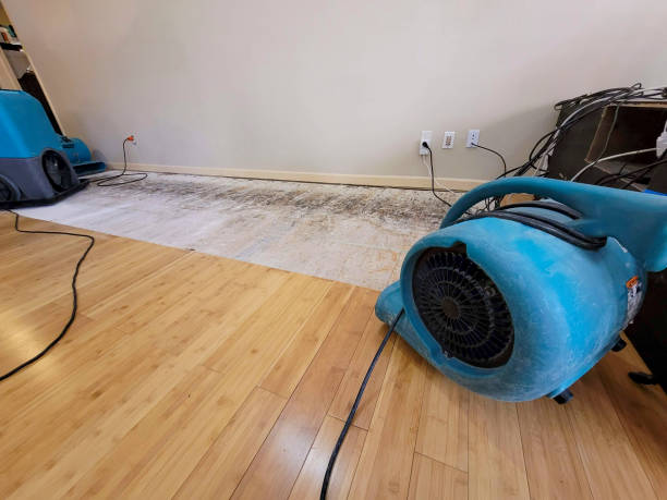 Professional Water Damage Repair technician working in Weston, OH